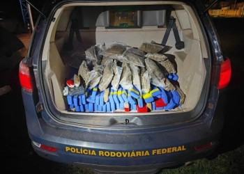 Ação da PRF termina com mais de 100 kg de drogas apreendidos em Três Lagoas