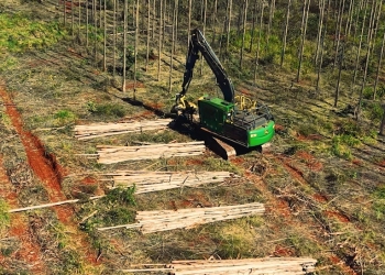 Arauco abre inscrições para qualificação de operadores e mecânicos de máquinas florestais em seis cidades de MS