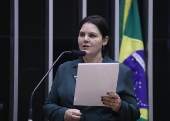 Comissão da Câmara aprova “escudo” para responder a barreiras ambientais