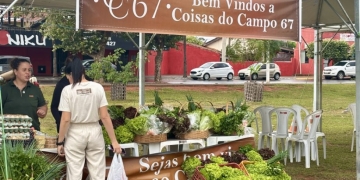 Prefeitura de Três Lagoas encerra a 2ª Semana da Agricultura Familiar com feira aberta à população na Orla da Lagoa Maior