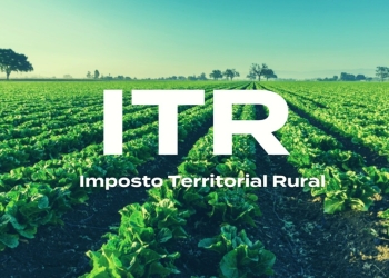 Declaração do ITR começa nesta segunda-feira; veja as novas regras