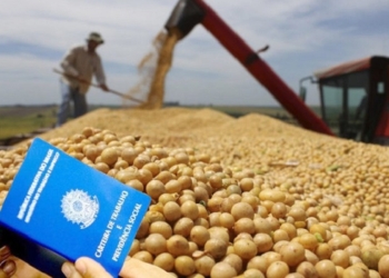 Agronegócio incorporou 190 mil trabalhadores no primeiro trimestre e viu renda crescer 2,7%
