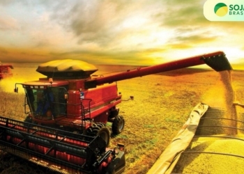 Nova safra de soja pode superar 22,6 milhões de toneladas, estima Deral