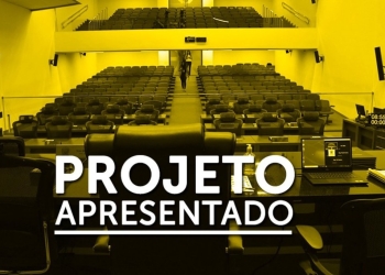 Projeto de Lei busca integrar MP e Defensoria em registros de nascimento sem paternidade