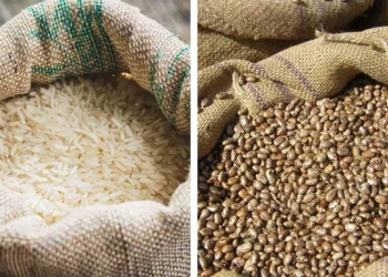 Arroz e feijão chegam ao fim de agosto com oferta menor e preços firmes