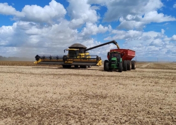 Exportações do agro crescem 12,4% e chegam a R$ 29 bilhões