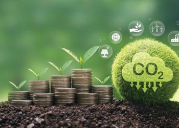 Crédito de carbono pode render R$ 3,5 bi, mas ainda tá longe da realidade