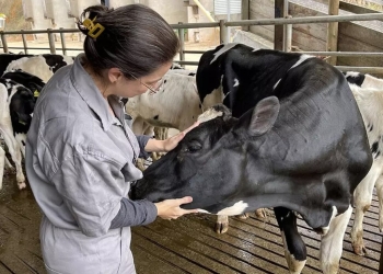 “Mal do olho” custa R$ 1,6 bilhão por ano nos EUA e não tem dados no Brasil