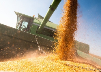 Agro deve responder por quase um quarto da economia em 2026