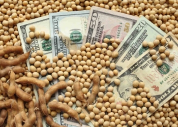 USDA eleva projeção da safra para 123 milhões de toneladas