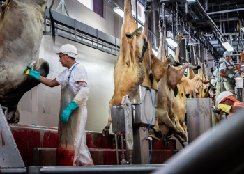 Produtos bovinos brasileiros podem ganhar mais espaço no mercado japonês