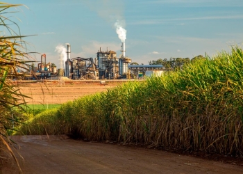 Safra chega a 705 milhões de toneladas com avanço do etanol e recuo do açúcar