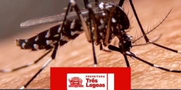 BOLETIM DENGUE E LEISHMANIOSE – 25 de agosto de 2026