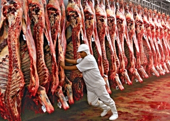 Além da UE, mais um país fecha a porta para a carne brasileira e China anuncia tarifa de 55%