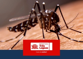 BOLETIM DENGUE E LEISHMANIOSE – 19 de agosto de 2026