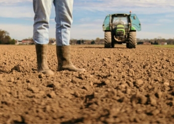 Dívidas, reforma tributária e sucessão entram no radar jurídico do produtor rural