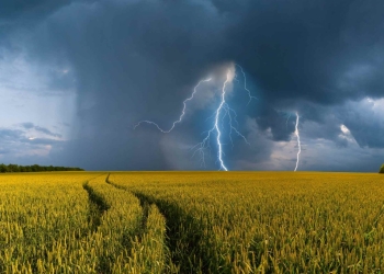 El Niño forte pode atrasar soja e encurtar janela do milho