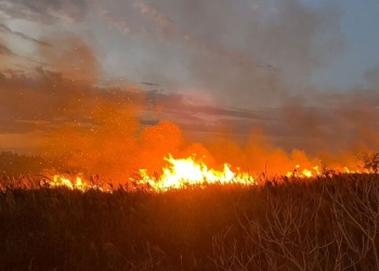 Incêndio criminoso em fazenda deixa prejuízo de R$ 40 mil em Dourados