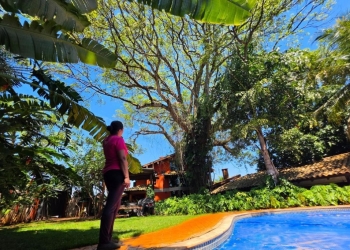 Dia da Árvore: Um gigante que aninhou uma família