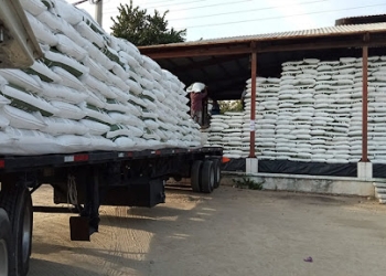 Acordo afasta risco de falta de fertilizantes, mas custo ainda preocupa produtor