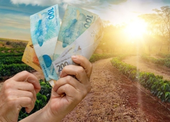Metade do prazo já passou e renegociação rural de R$ 100 bilhões ainda não chega ao produtor
