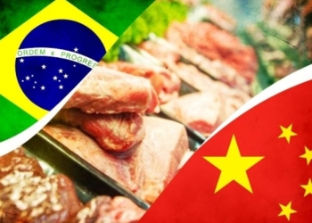 China impõe tarifa de 55% e agrava pressão sobre carne brasileira já barrada na Europa