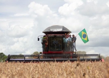 Independência ou morte: Brasil alimenta o mundo, mas ainda depende do exterior