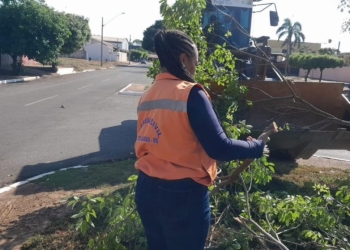 Defesa Civil e equipes da Prefeitura atuam desde ontem após tempestade que atingiu Três Lagoas