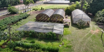 Viveiro Municipal de Três Lagoas continua atendendo em horário contínuo