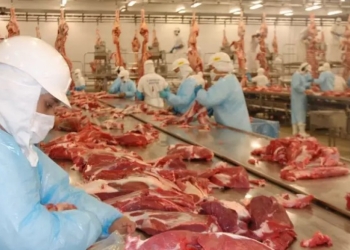 Embargo europeu freia na alta do boi mesmo com nova cota dos EUA