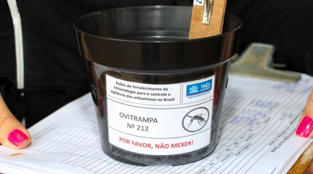 Três Lagoas registra mais de 12 mil ovos de Aedes aegypti coletados em ovitrampas