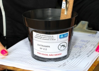 Três Lagoas registra mais de 12 mil ovos de Aedes aegypti coletados em ovitrampas