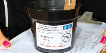 Três Lagoas registra mais de 12 mil ovos de Aedes aegypti coletados em ovitrampas