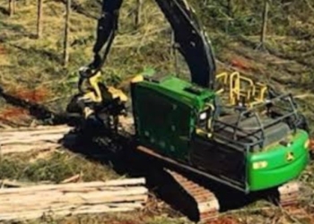 Oportunidade de Trabalho| Arauco Abertura de Vagas para Diversos Cargos em Três Lagoas