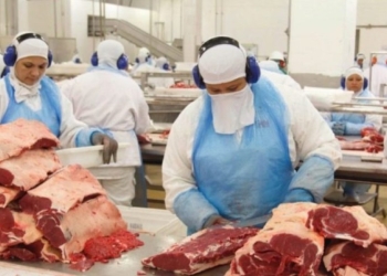 China vem avaliar frigoríficos e exiger controle maior de resíduos no campo