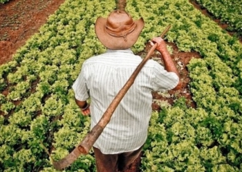 Projeto para proteger pequena propriedade abre debate sobre acesso ao crédito rural