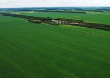 Média anual das exportações do agro quadruplica e chega a R$ 858 bilhões