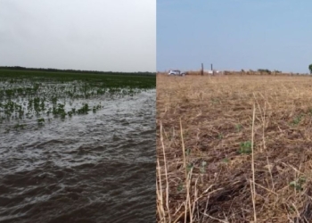 Chuva falha no Centro-Oeste e sobra no Sul na largada da safra