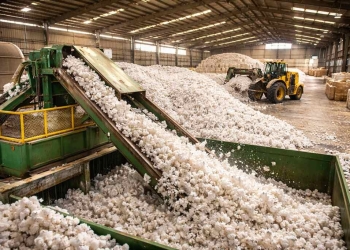 Brasil colhe recorde de 4,14 milhões de toneladas de algodão em área menor
