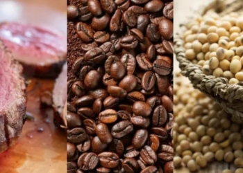 Carne, café e soja terão que comprovar origem a partir de 30 de dezembro