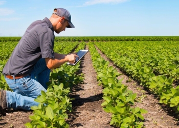 Agro tem até dia 30 para escolher tributação que pode alterar competitividade em 2027