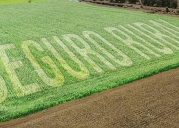 Seguro rural ganha verba protegida e prazo para indenizar