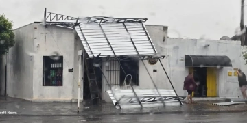 Chuva e ventania provocam estragos em Três Lagoas, derrubam árvores e deixam Defesa Civil em alerta